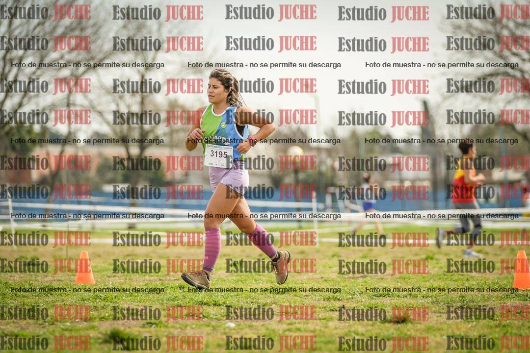 Fotos en el quinto punto del circuito