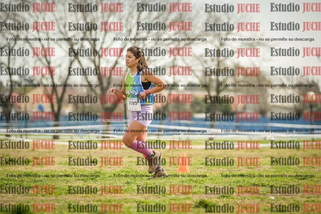 Fotos en el quinto punto del circuito