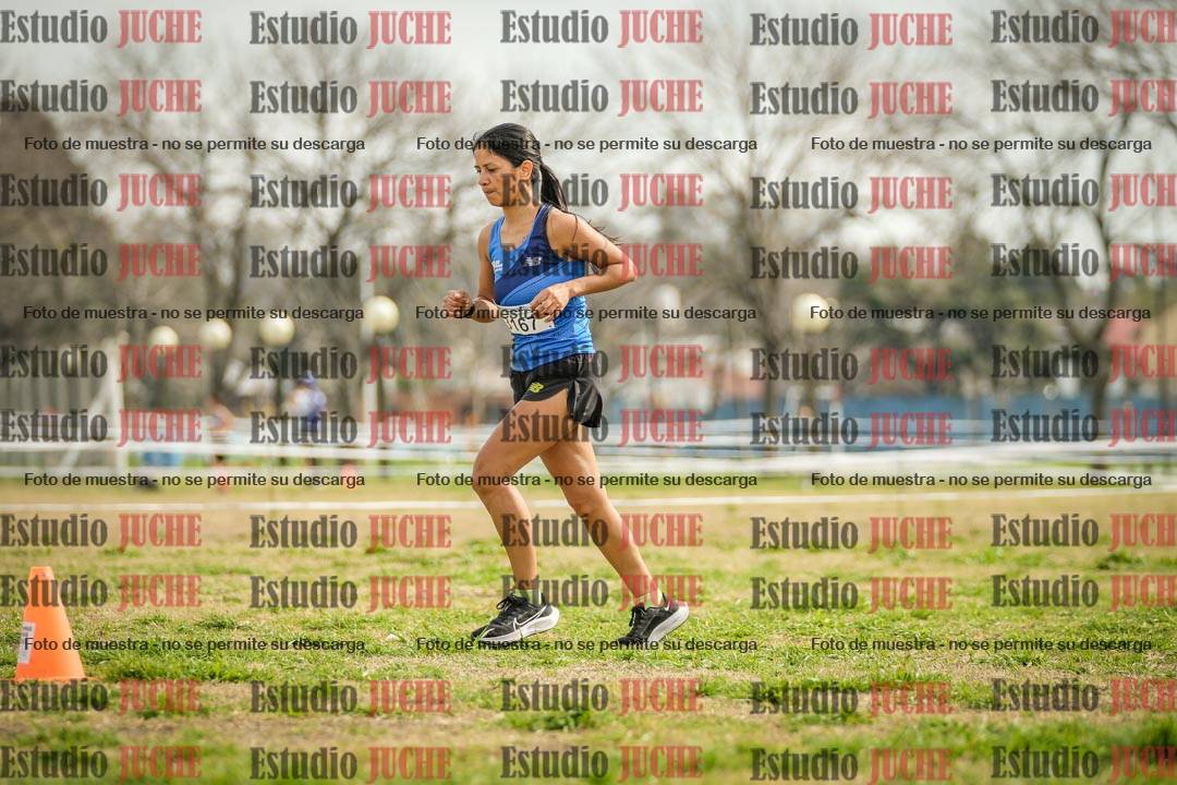 Fotos en el quinto punto del circuito