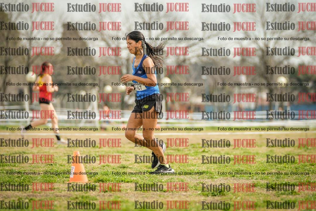 Fotos en el quinto punto del circuito