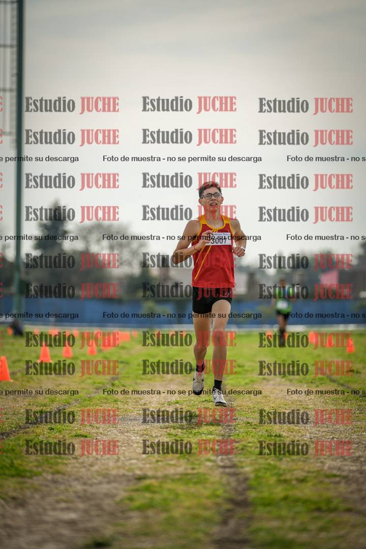 Fotos de la llegada del cross de 6000 m