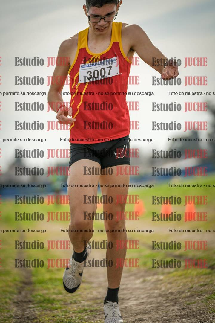 Fotos de la llegada del cross de 6000 m
