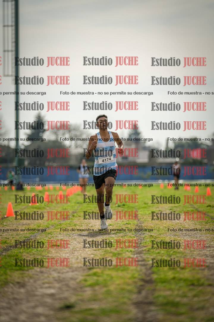 Fotos de la llegada del cross de 6000 m