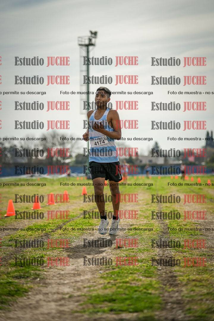 Fotos de la llegada del cross de 6000 m