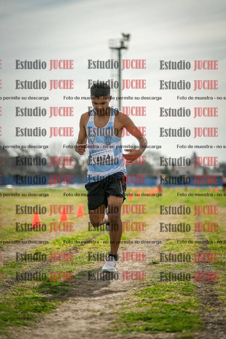 Fotos de la llegada del cross de 6000 m