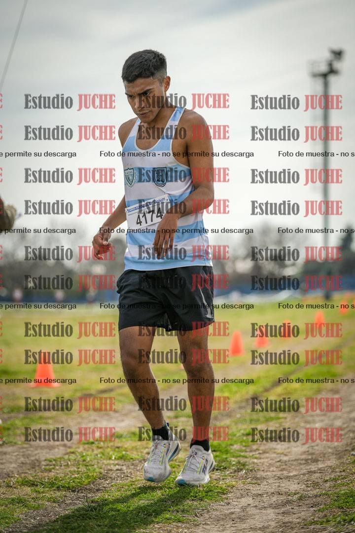 Fotos de la llegada del cross de 6000 m