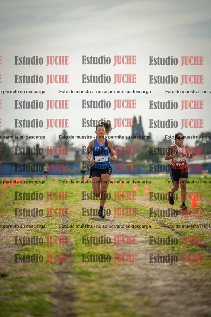 Fotos de la llegada del cross de 6000 m