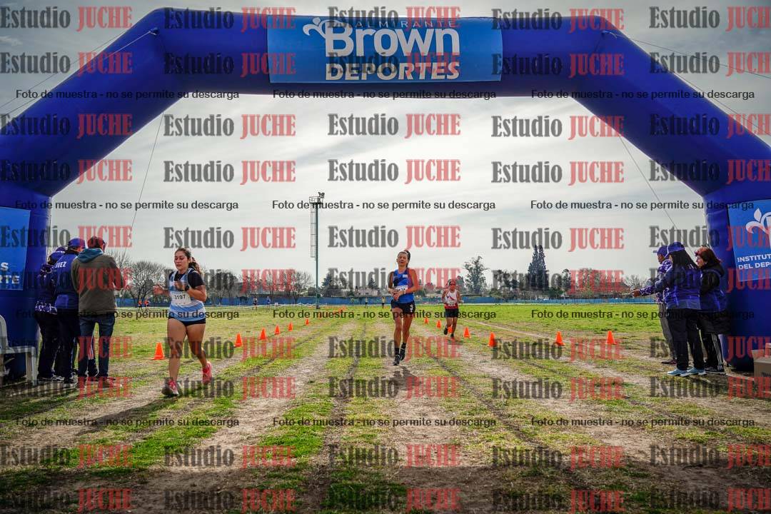 Fotos de la llegada del cross de 6000 m
