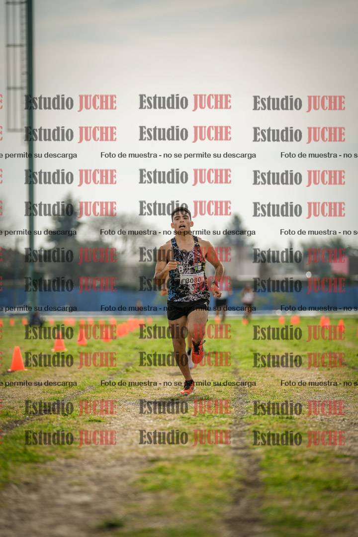 Fotos de la llegada del cross de 6000 m