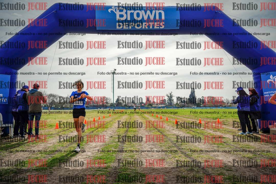 Fotos de la llegada del cross de 6000 m