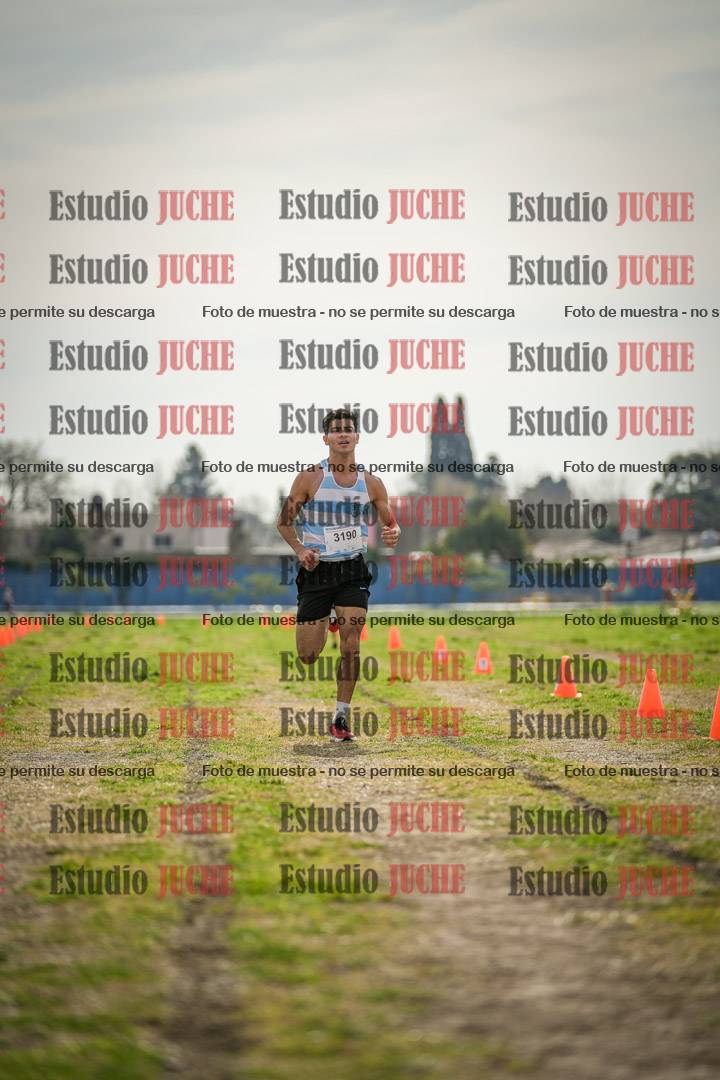 Fotos de la llegada del cross de 6000 m