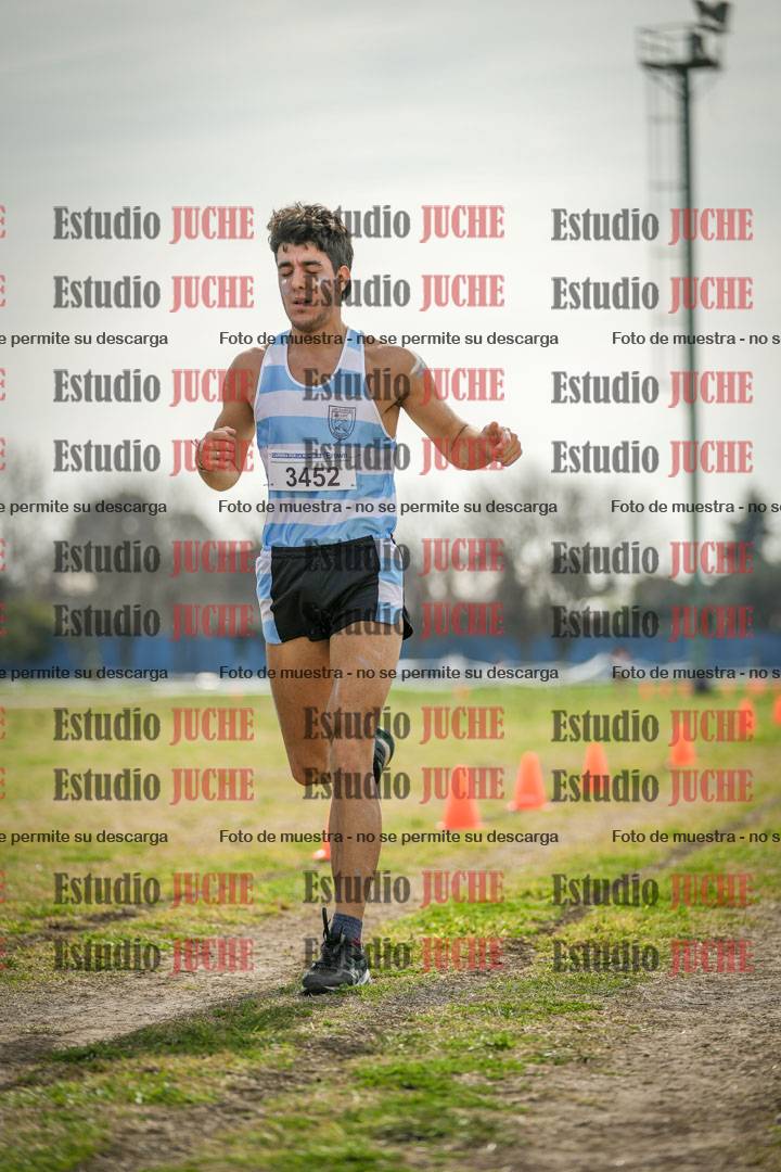 Fotos de la llegada del cross de 6000 m