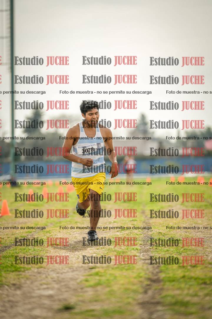 Fotos de la llegada del cross de 6000 m