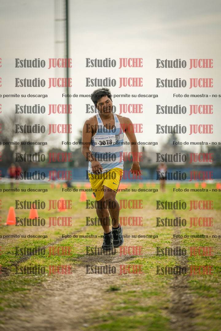 Fotos de la llegada del cross de 6000 m