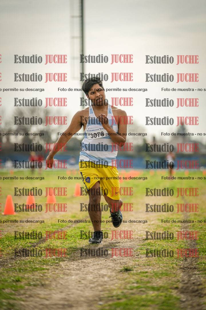 Fotos de la llegada del cross de 6000 m