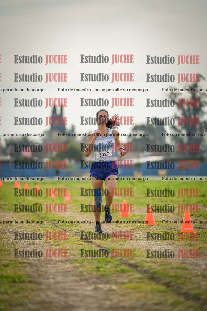 Fotos de la llegada del cross de 6000 m