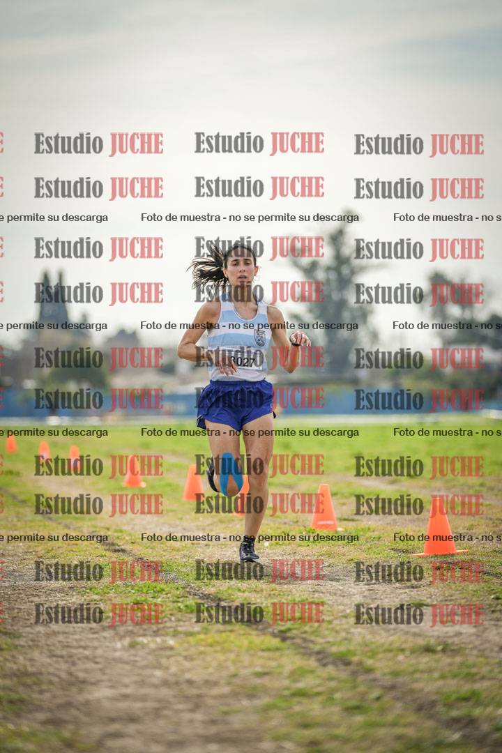 Fotos de la llegada del cross de 6000 m