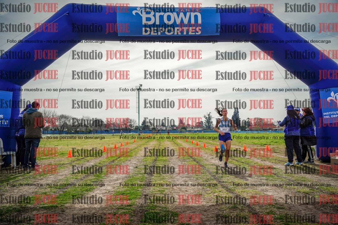 Fotos de la llegada del cross de 6000 m
