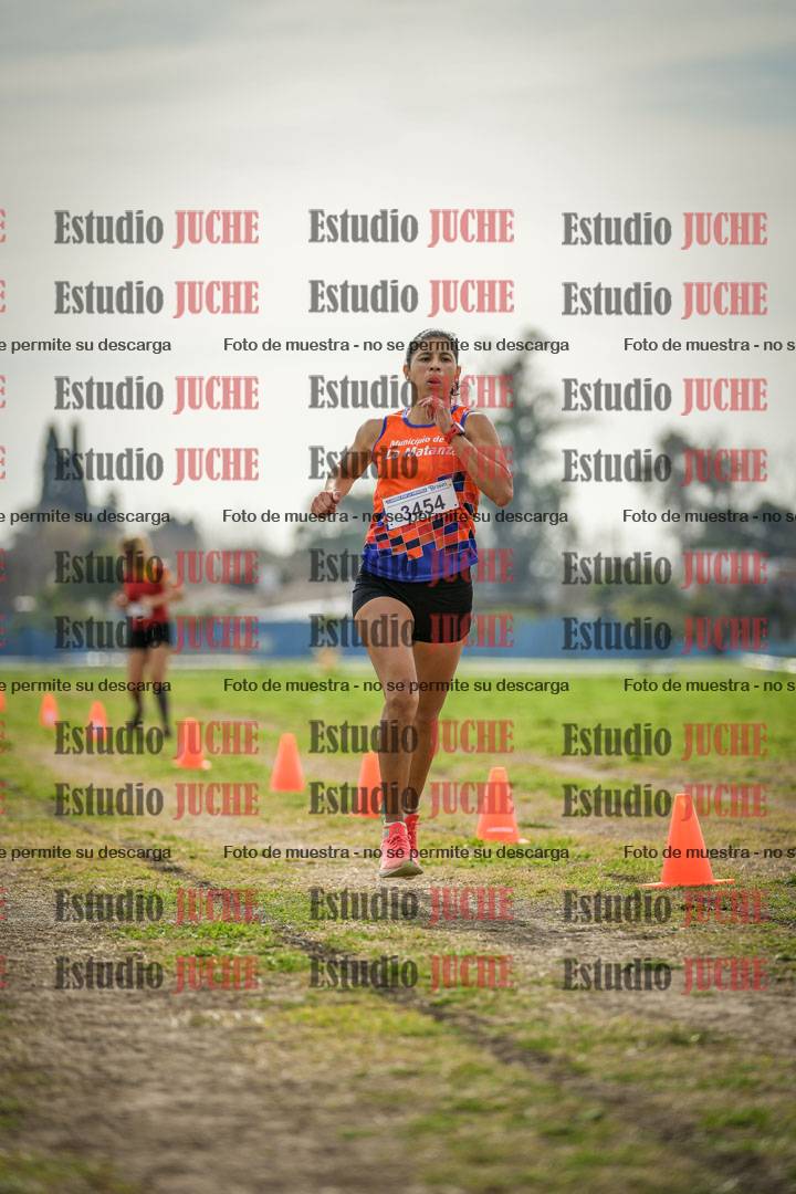 Fotos de la llegada del cross de 6000 m