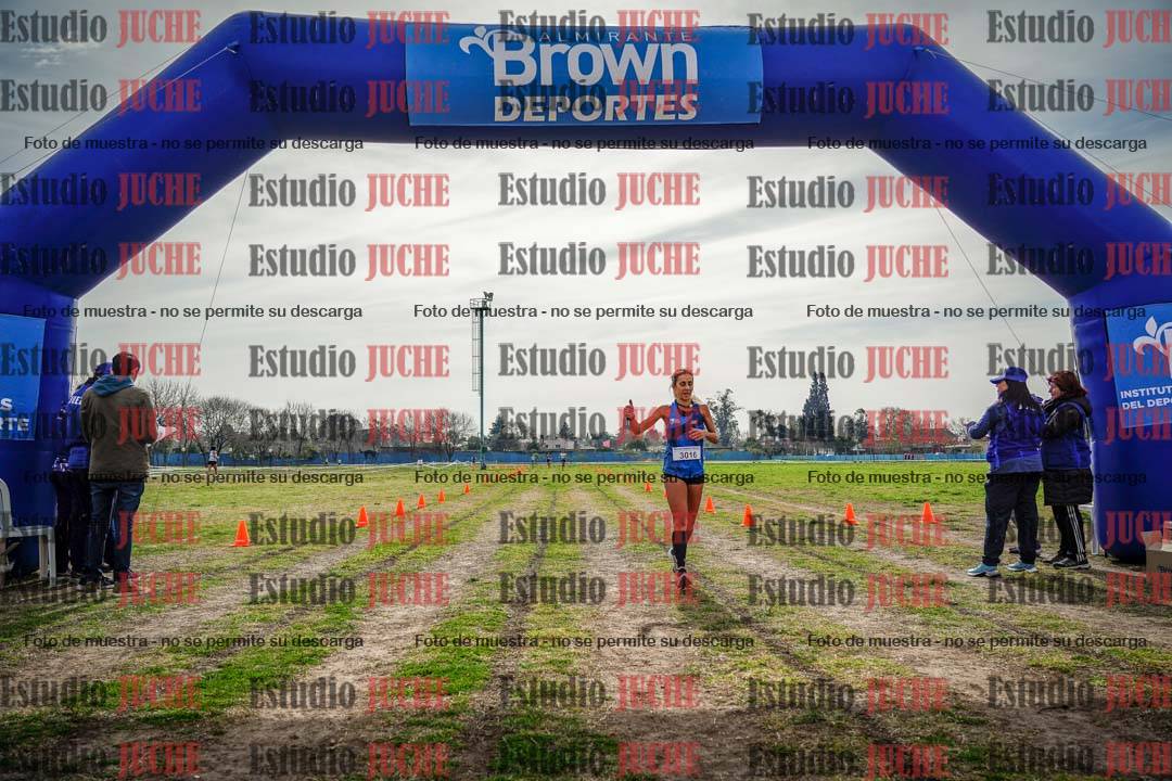 Fotos de la llegada del cross de 6000 m