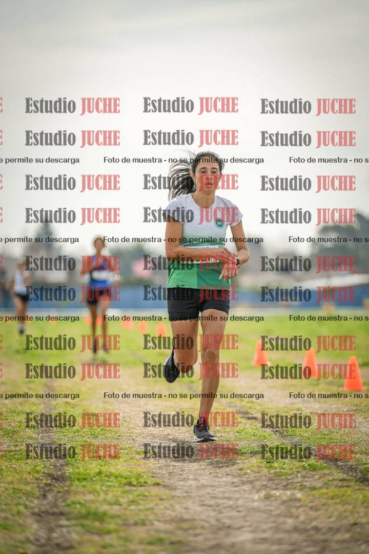 Fotos de la llegada del cross de 6000 m