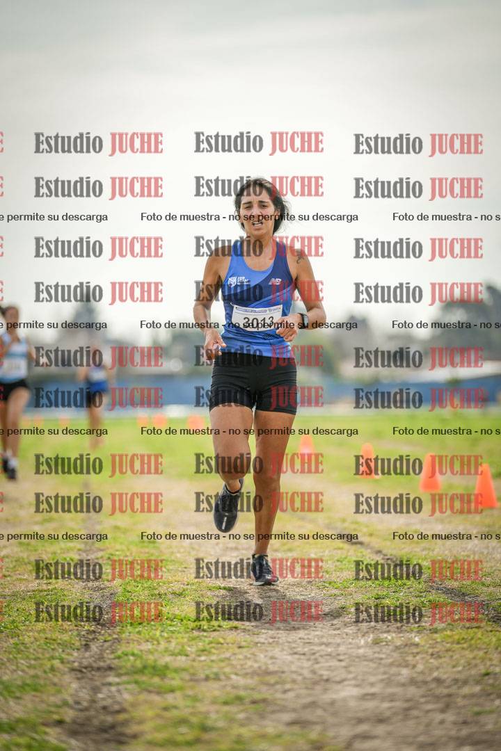 Fotos de la llegada del cross de 6000 m