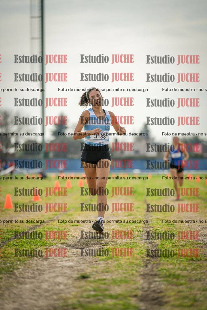 Fotos de la llegada del cross de 6000 m
