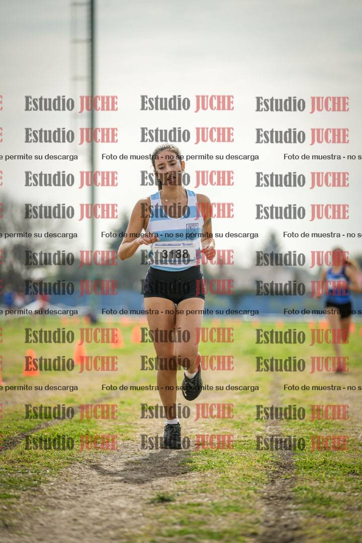 Fotos de la llegada del cross de 6000 m