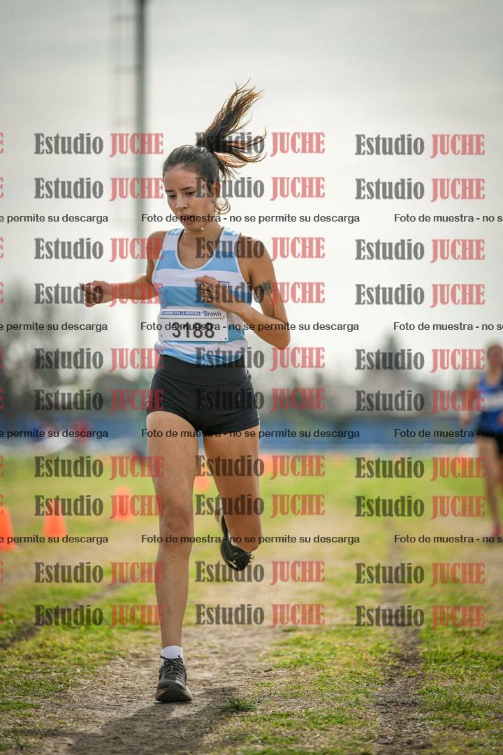 Fotos de la llegada del cross de 6000 m
