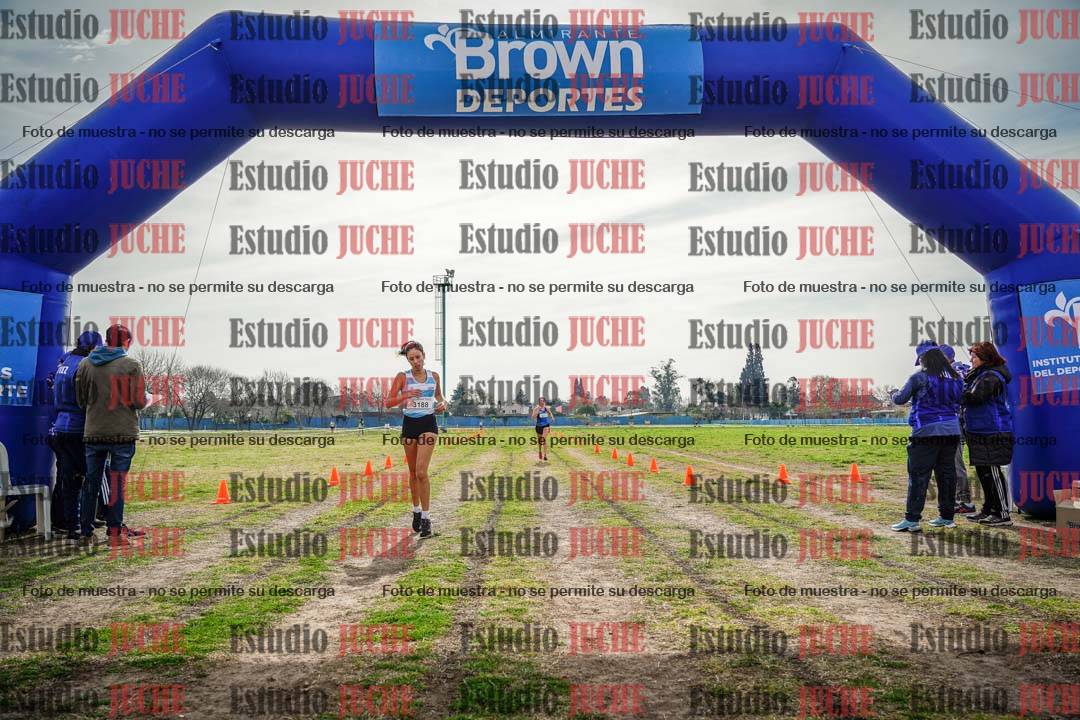 Fotos de la llegada del cross de 6000 m