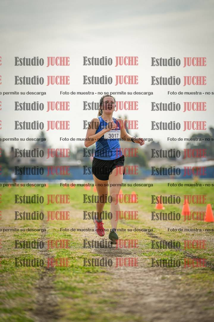 Fotos de la llegada del cross de 6000 m
