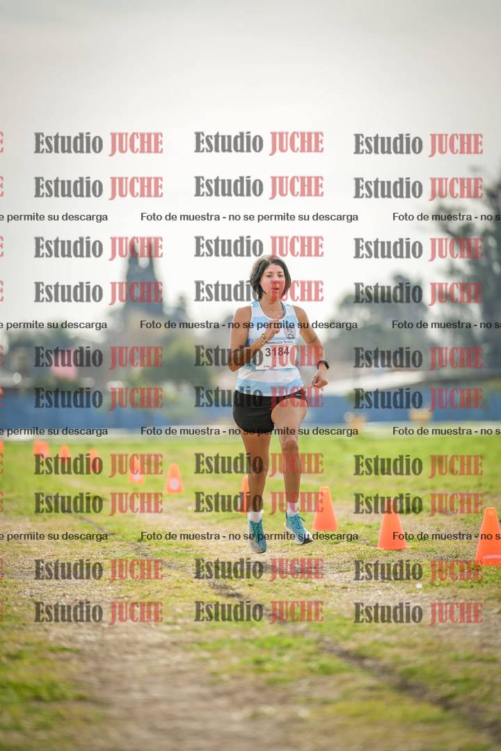 Fotos de la llegada del cross de 6000 m