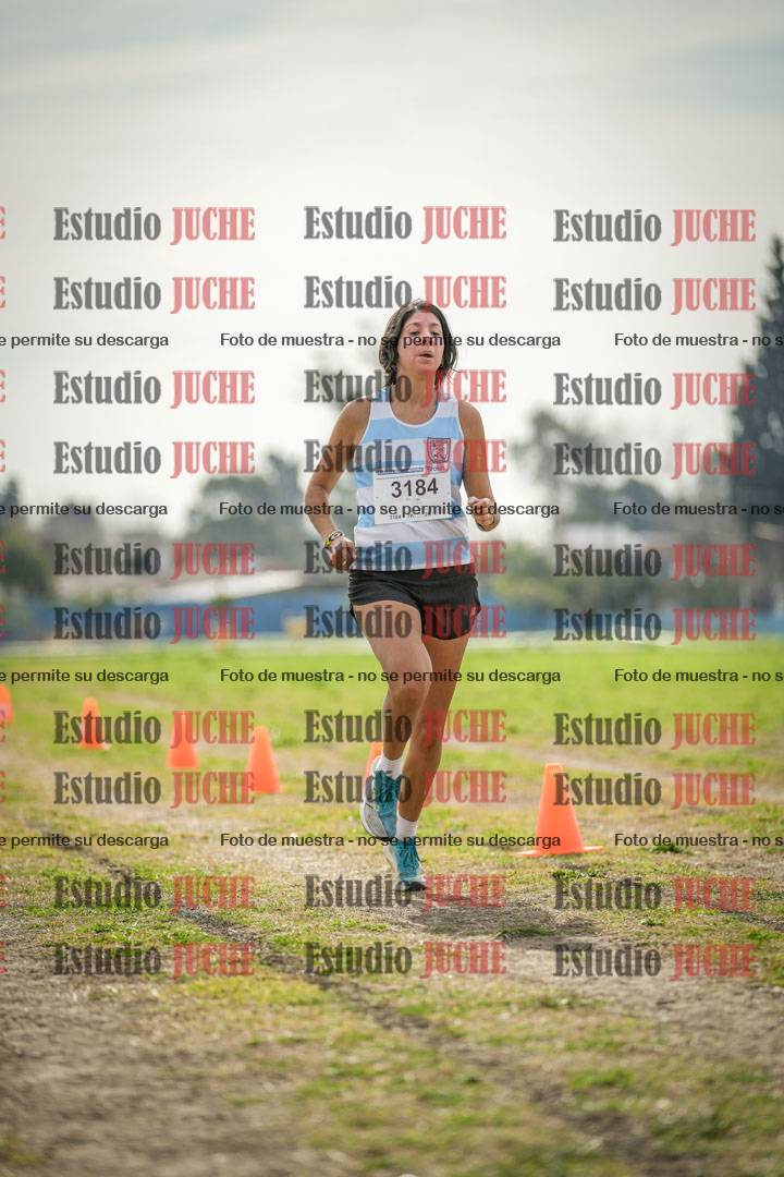 Fotos de la llegada del cross de 6000 m