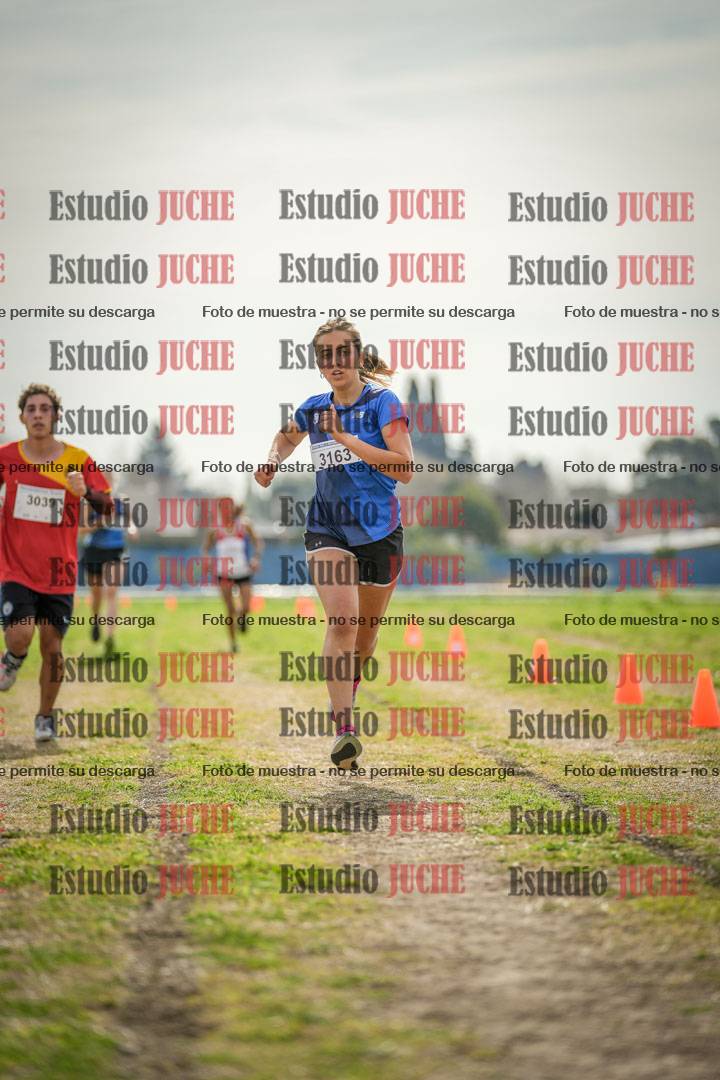 Fotos de la llegada del cross de 6000 m