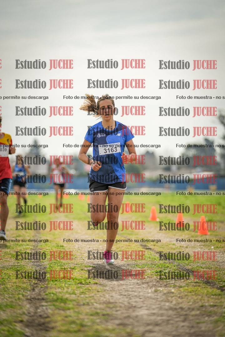 Fotos de la llegada del cross de 6000 m