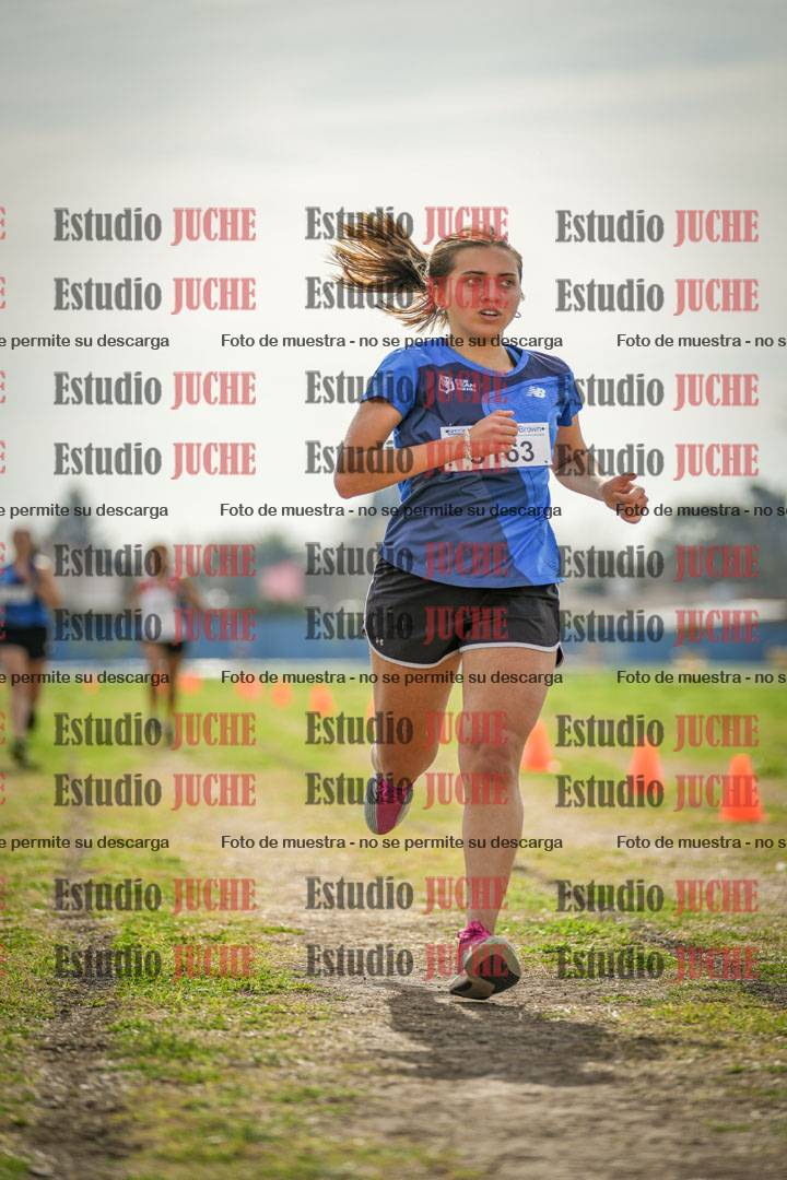 Fotos de la llegada del cross de 6000 m