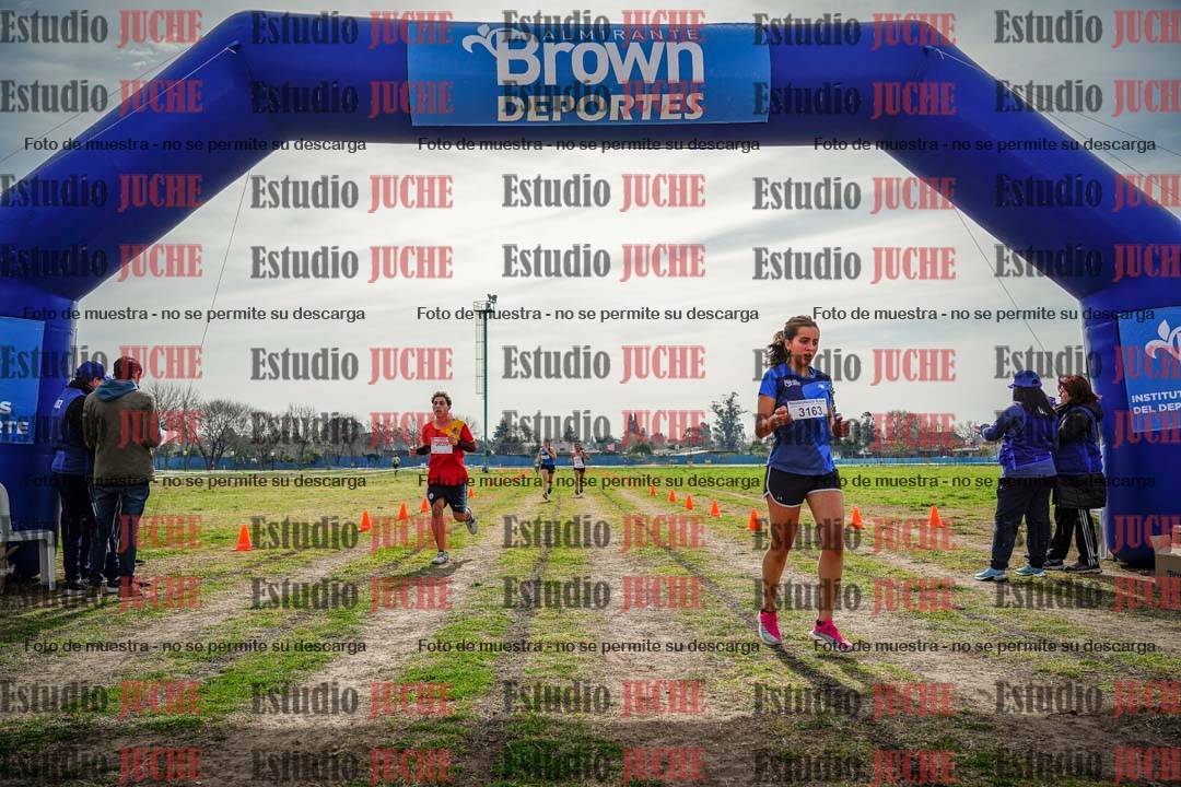 Fotos de la llegada del cross de 6000 m