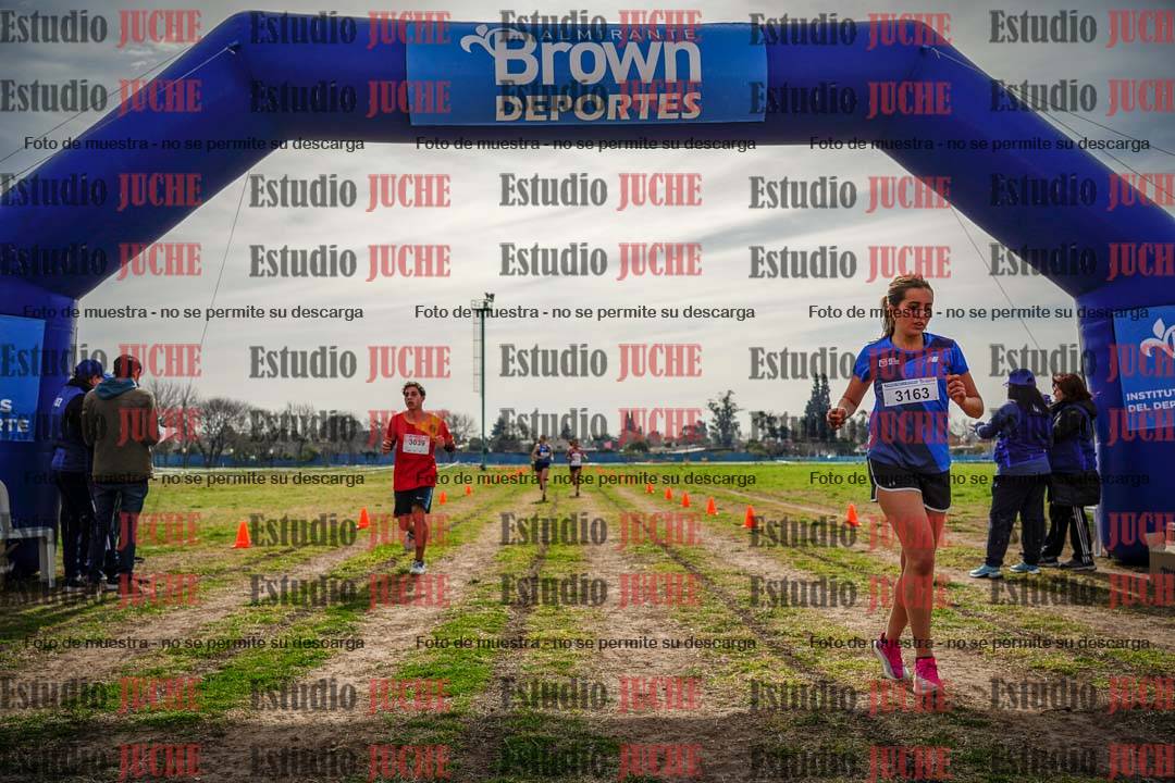 Fotos de la llegada del cross de 6000 m