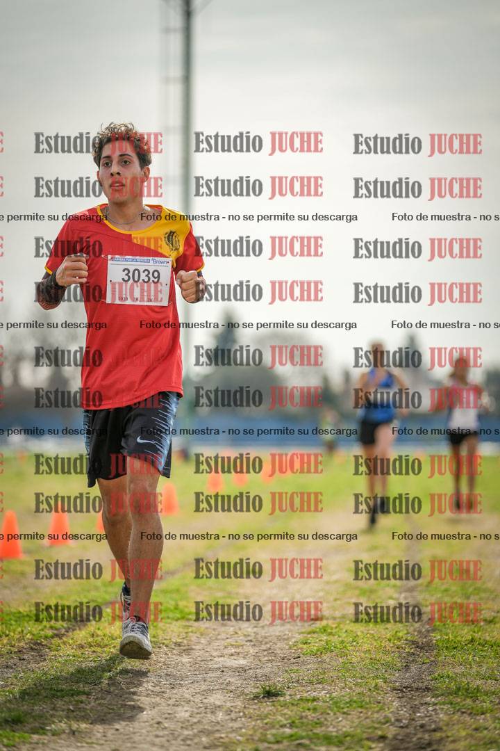Fotos de la llegada del cross de 6000 m