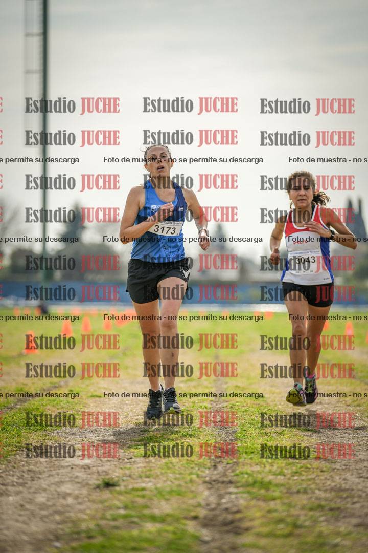 Fotos de la llegada del cross de 6000 m