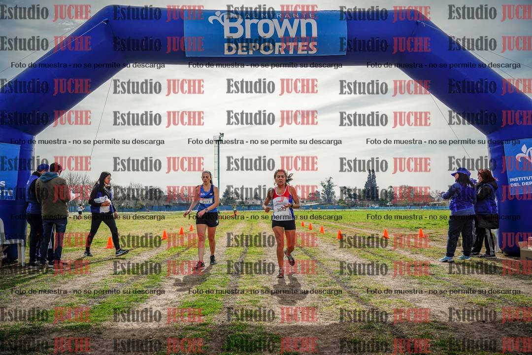 Fotos de la llegada del cross de 6000 m