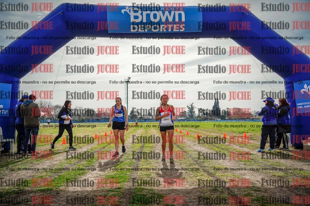 Fotos de la llegada del cross de 6000 m