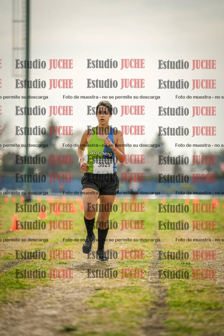 Fotos de la llegada del cross de 6000 m