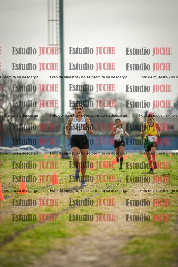 Fotos de la llegada del cross de 6000 m