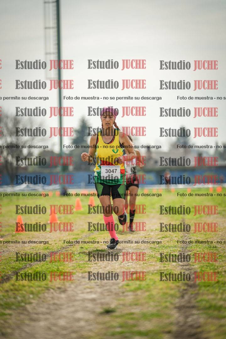 Fotos de la llegada del cross de 6000 m