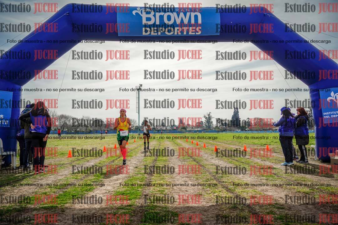 Fotos de la llegada del cross de 6000 m