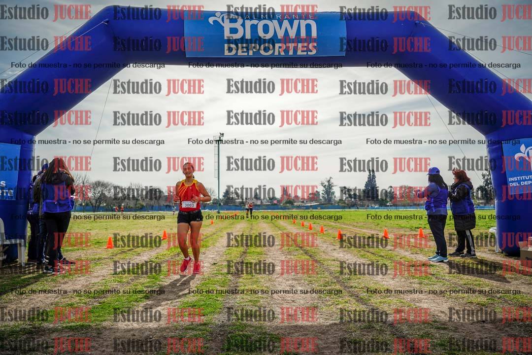 Fotos de la llegada del cross de 6000 m