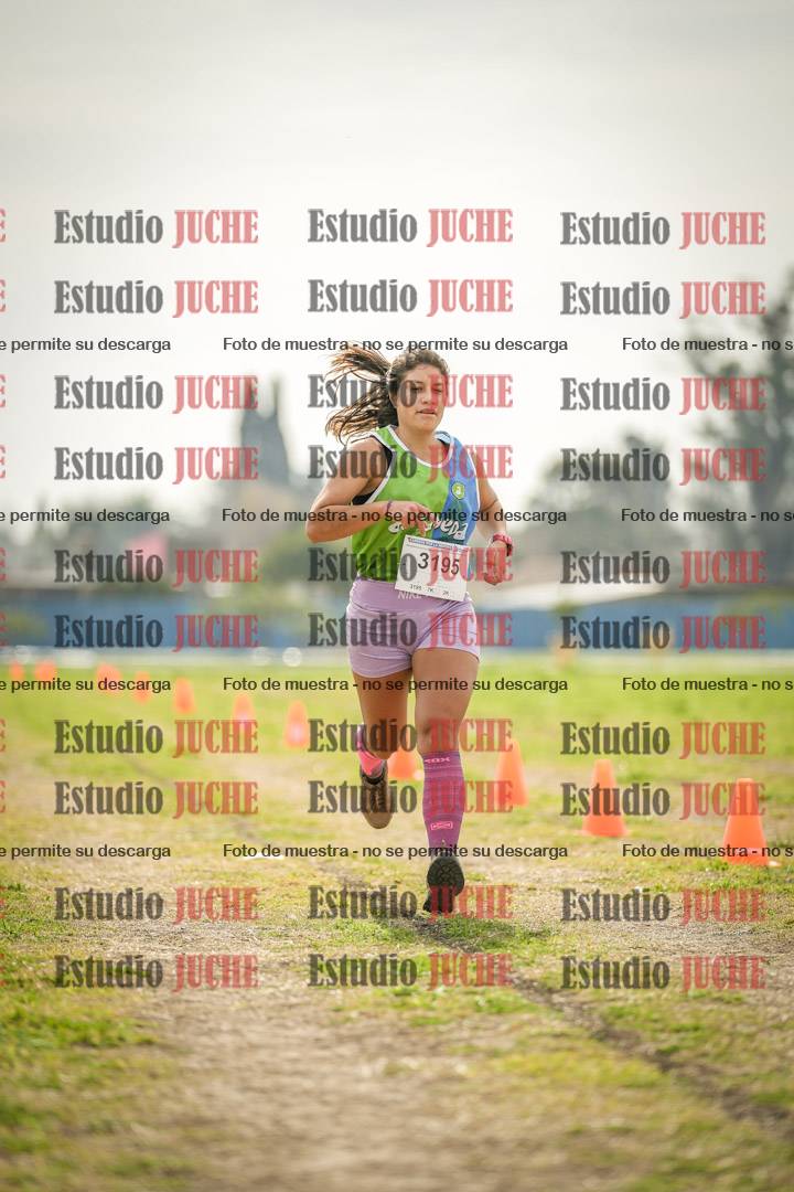 Fotos de la llegada del cross de 6000 m