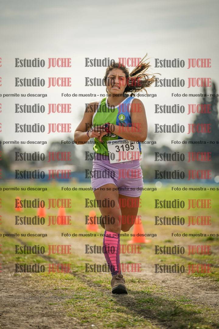 Fotos de la llegada del cross de 6000 m