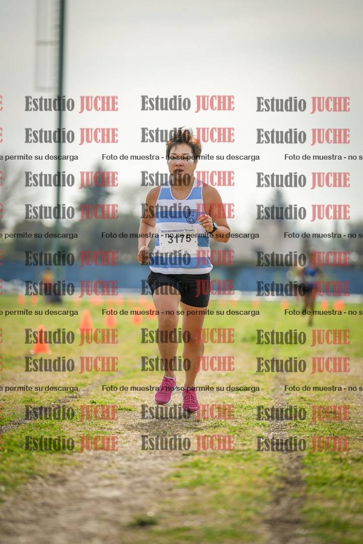 Fotos de la llegada del cross de 6000 m